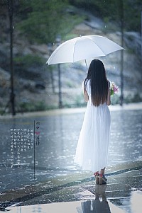 《雨中的等待》